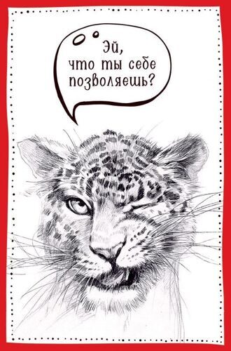 Открытка, Эй, что ты себе позволяешь?, 12*18 см.